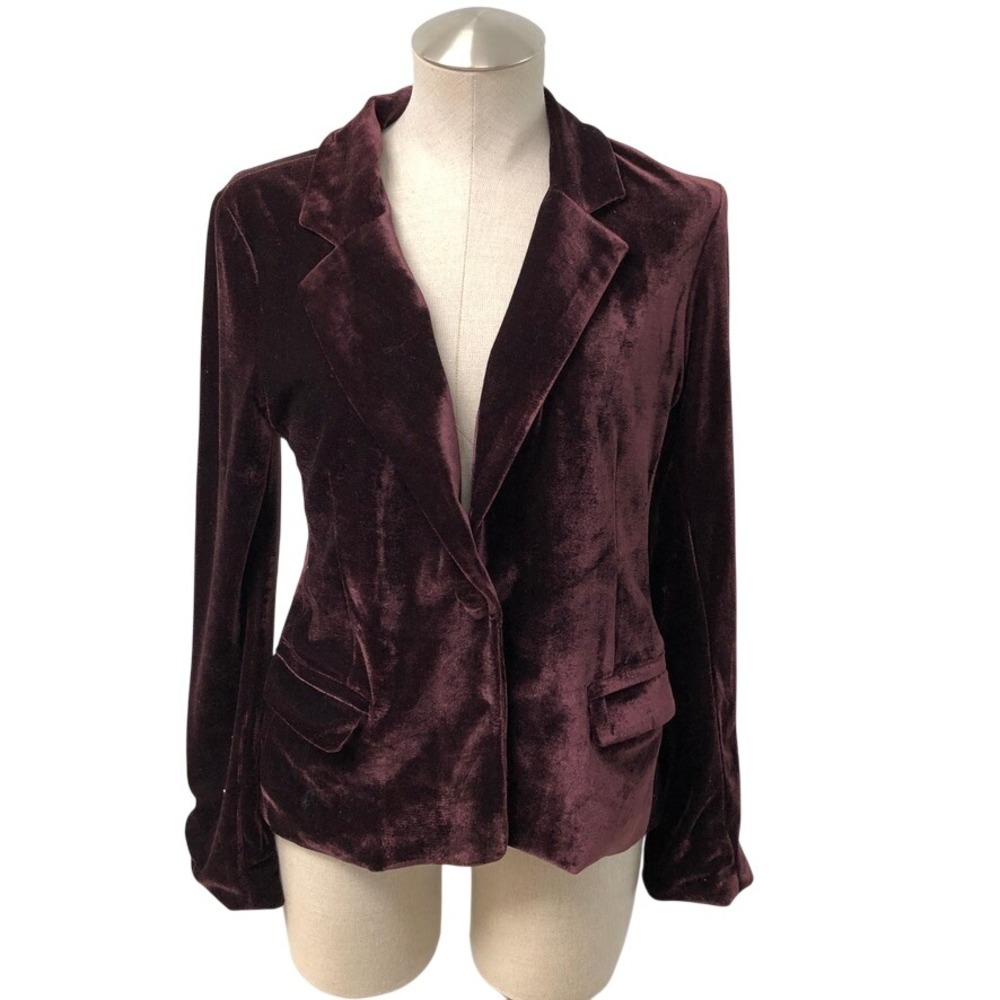 cupcakes and cashmere Blazer Womens 2 Burgundy Velvet Button Dark Academia